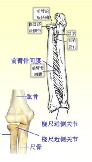 微信图片_20200820141647.jpg