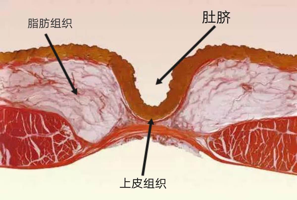 微信图片_20200820141940.jpg