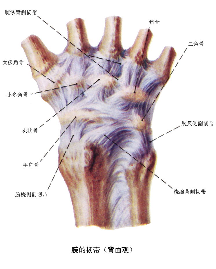 微信图片_20200820141922.jpg