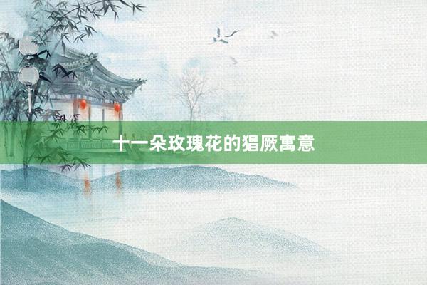 十一朵玫瑰花的猖厥寓意