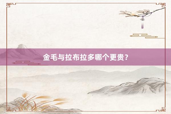 金毛与拉布拉多哪个更贵？